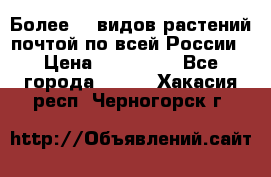 Более200 видов растений почтой по всей России › Цена ­ 100-500 - Все города  »    . Хакасия респ.,Черногорск г.